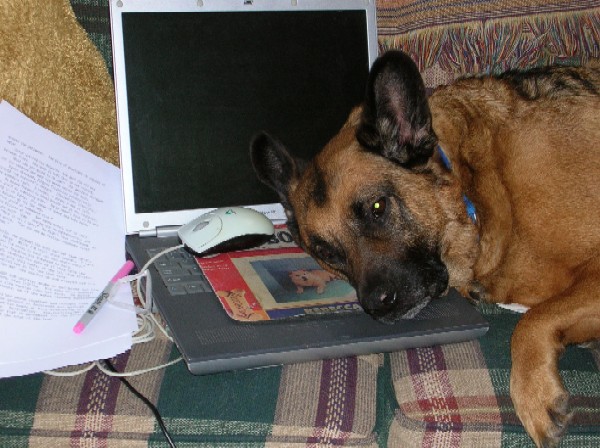 Moose keeps the laptop warm while I try to take pictures...